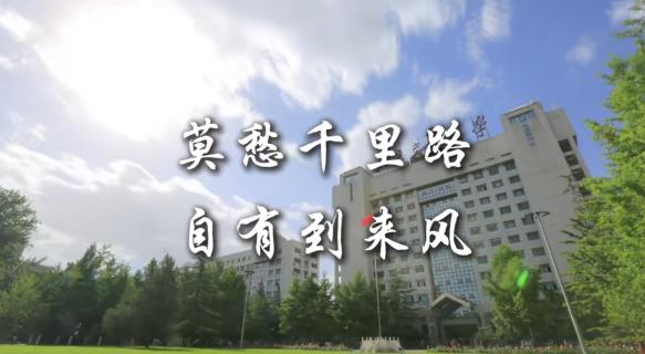 草地上有许多树 AI 生成的内容可能不正确。