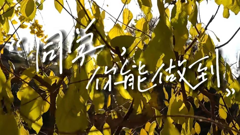 树上的花朵 AI 生成的内容可能不正确。